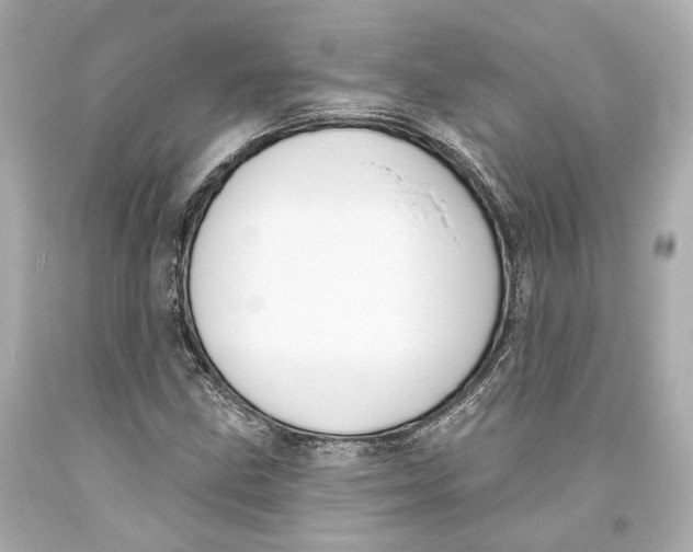 X0000093361211200711011200