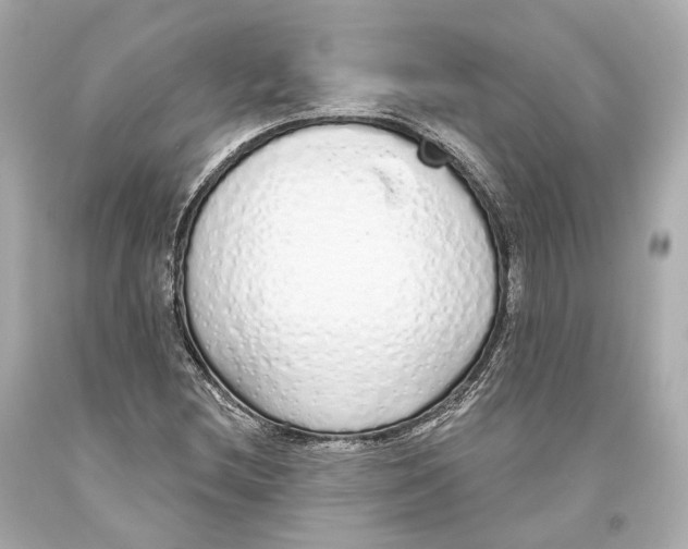 X0000093361212200711011200