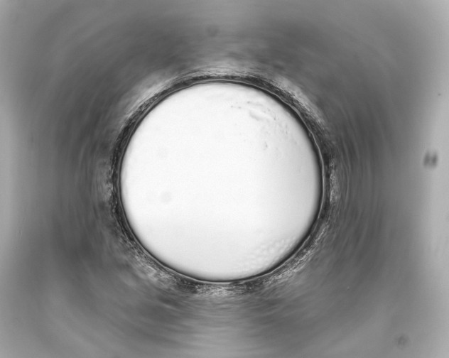 X0000093361213200711011200