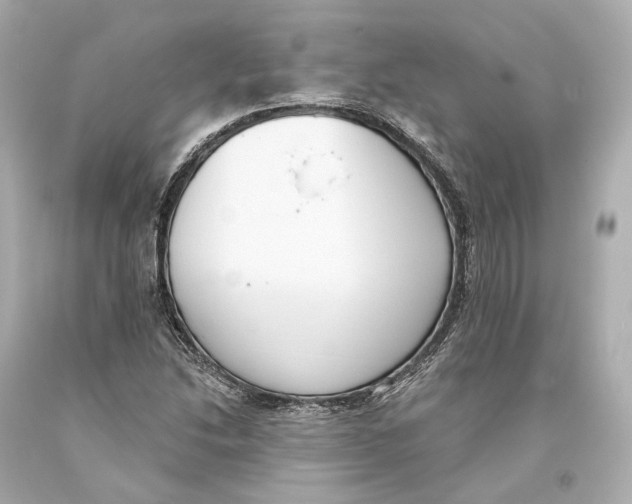 X0000093361214200711011200