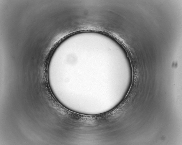 X0000093361215200711011200