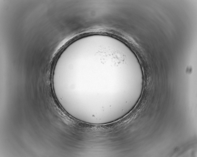 X0000093361216200711011200