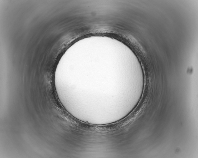 X0000093361217200711011200