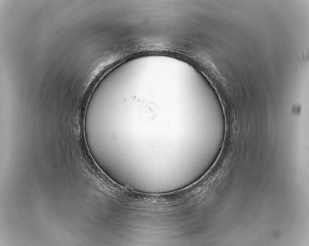 X0000093361218200711011200