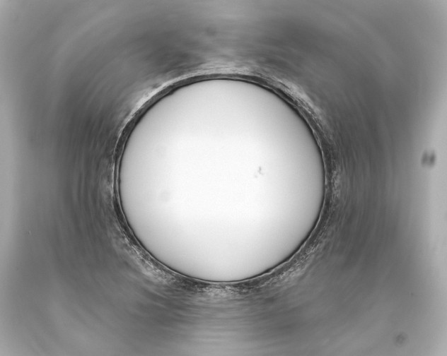 X0000093361220200711011200