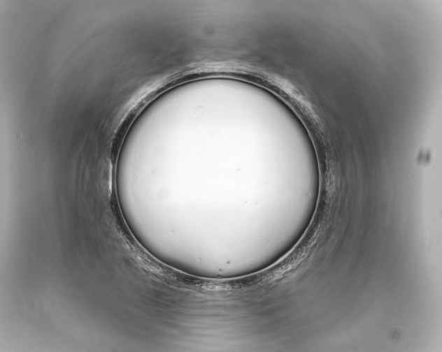 X0000093361221200711011200