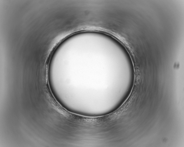 X0000093361223200711011200