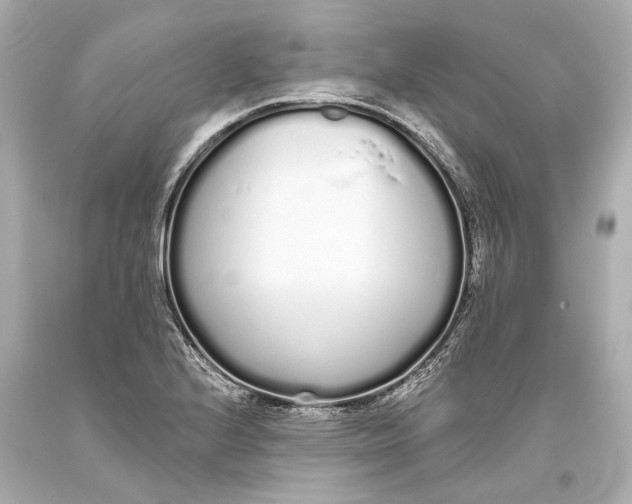 X0000093361224200711011200