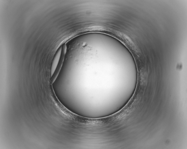 X0000093361225200711011200