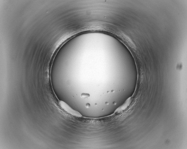 X0000093361226200711011200