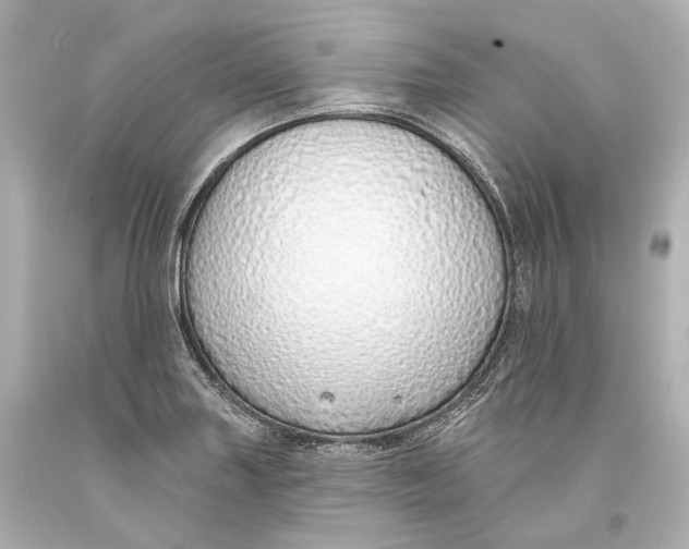 X0000093361227200711011200