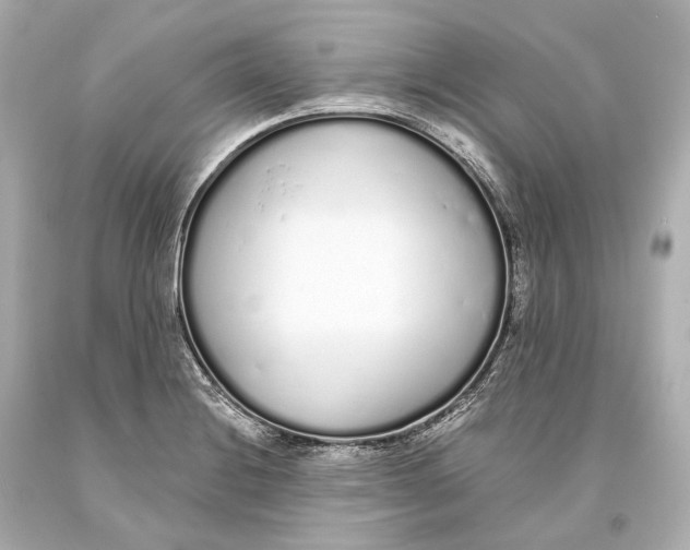 X0000093361228200711011200