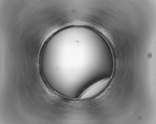 X0000093361229200711011200