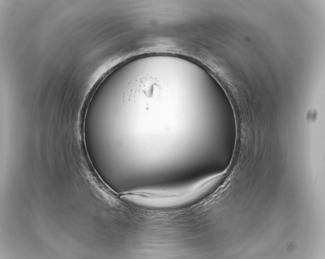 X0000093361230200711011200