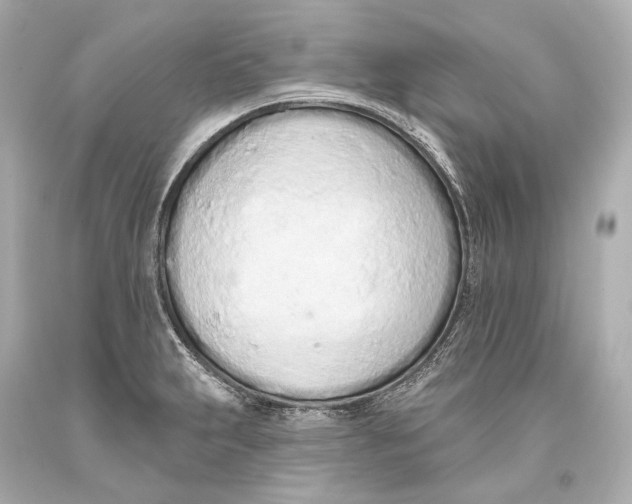 X0000093361231200711011200