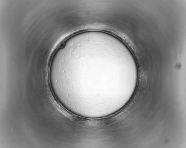 X0000093361232200711011200