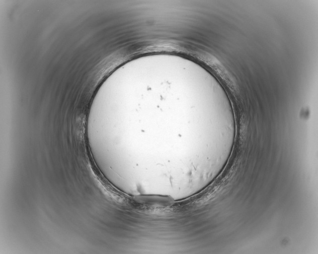 X0000093361233200711011200