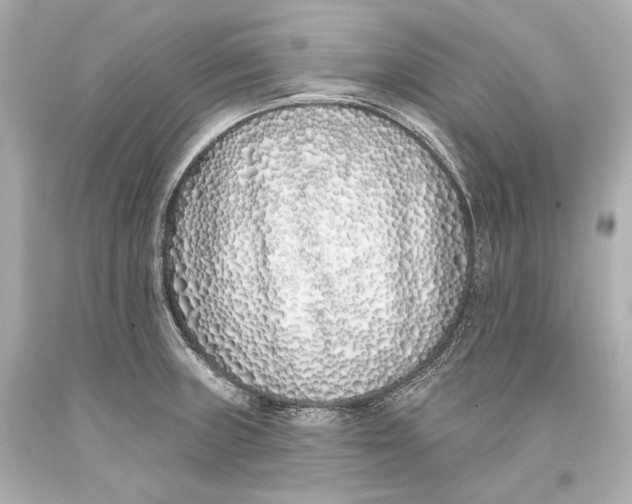 X0000093361235200711011200