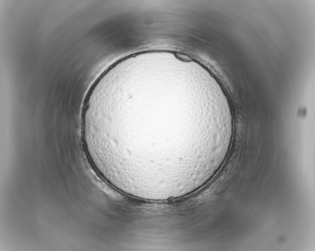 X0000093361236200711011200