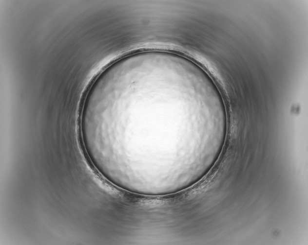 X0000093361237200711011200