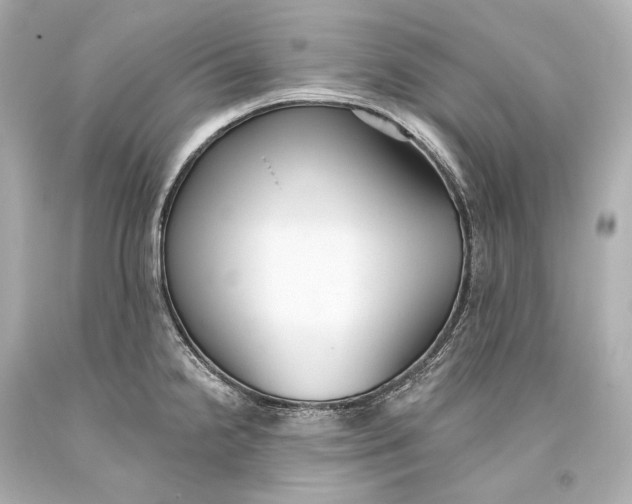 X0000093361238200711011200