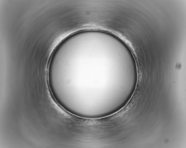 X0000093361239200711011200