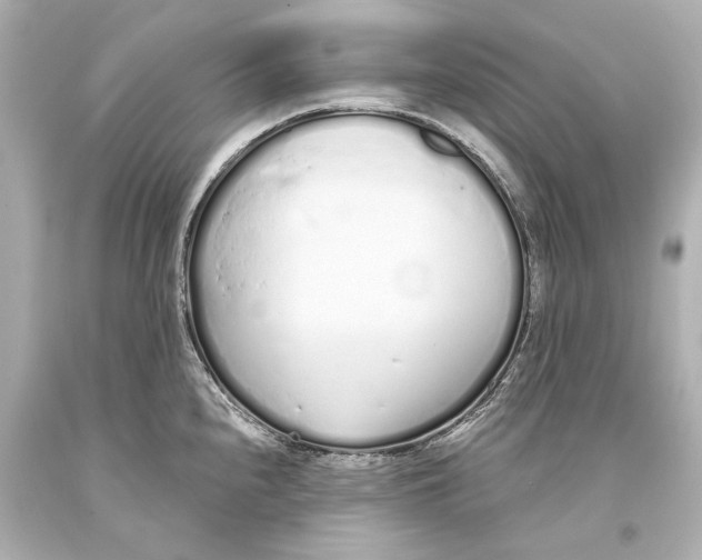 X0000093361240200711011200