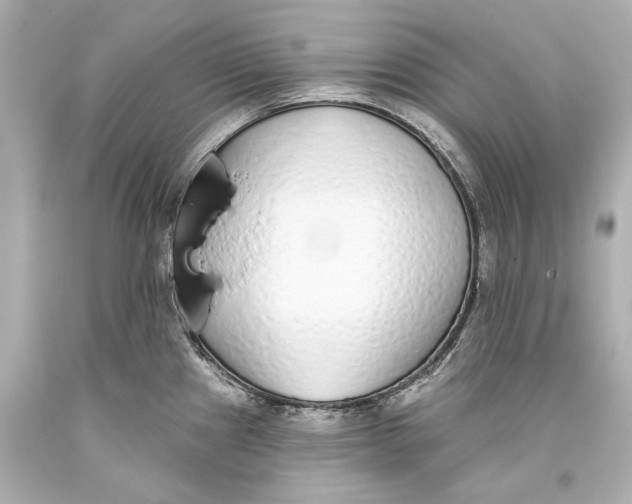 X0000093361241200711011200