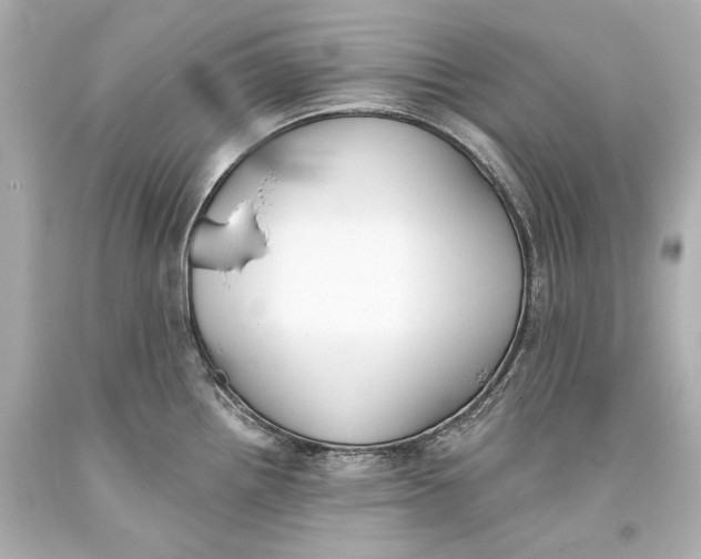 X0000093361242200711011200