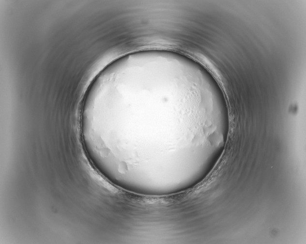 X0000093361243200711011200