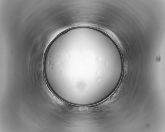 X0000093361244200711011200