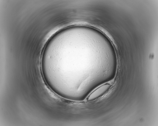 X0000093361245200711011200