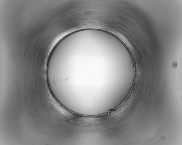 X0000093361246200711011200