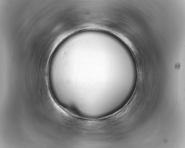 X0000093361247200711011200