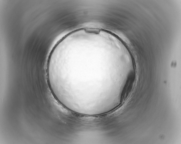 X0000093361248200711011201