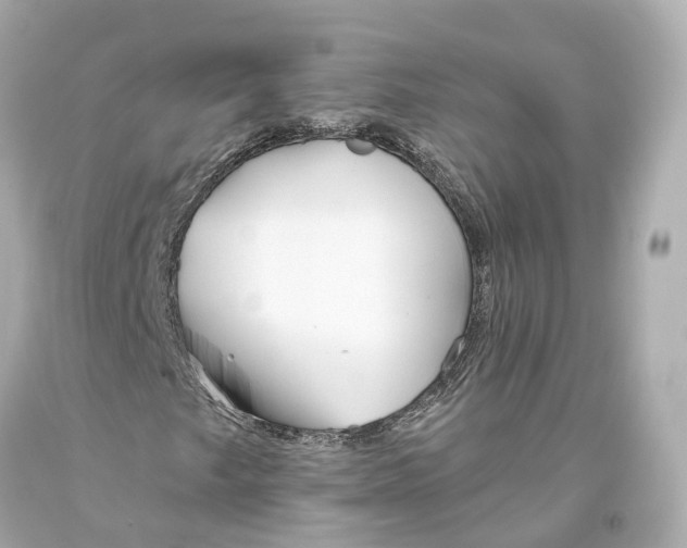 X0000093361249200711011200