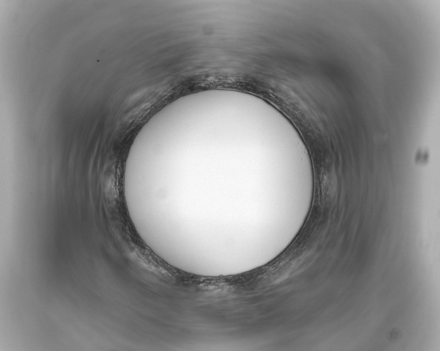 X0000093361250200711011200