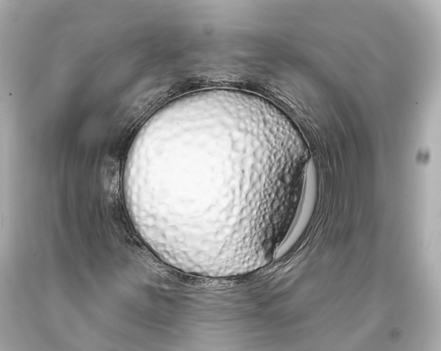 X0000093361251200711011200