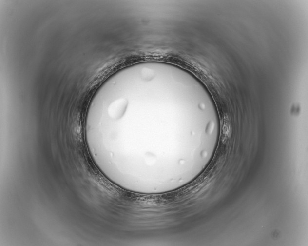 X0000093361252200711011200