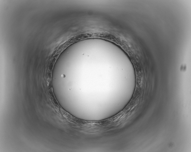 X0000093361253200711011200