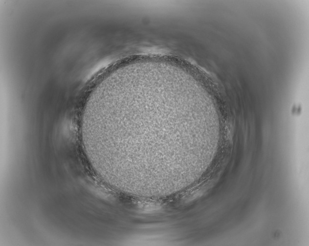 X0000093361254200711011200