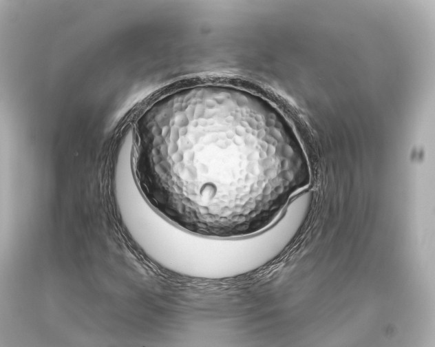 X0000093361255200711011200