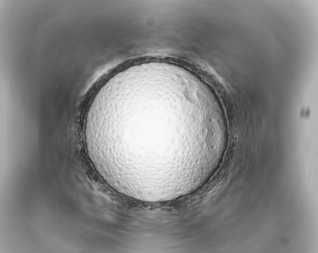 X0000093361256200711011200