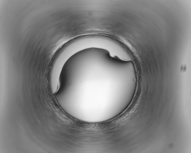 X0000093361259200711011200