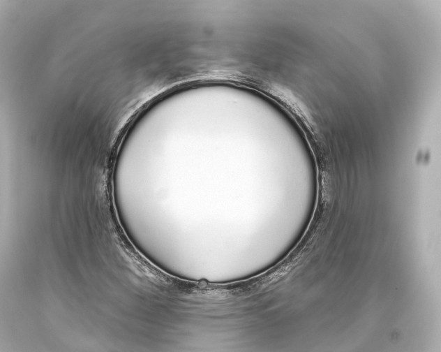 X0000093361260200711011200