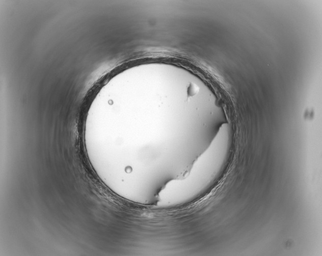 X0000093361261200711011200