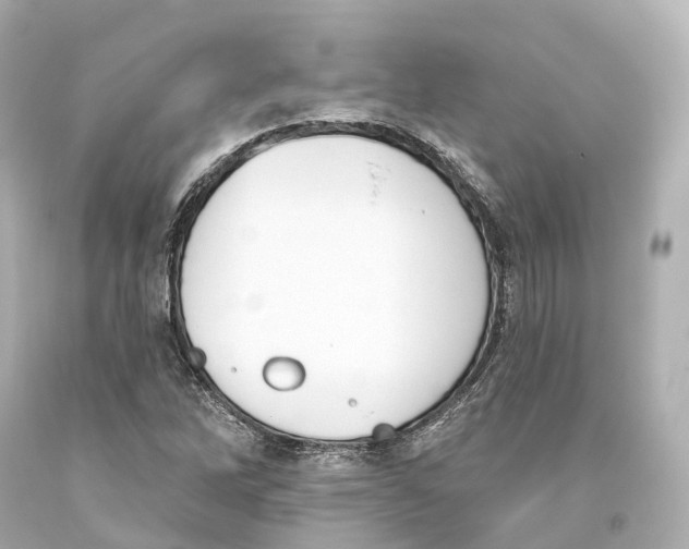 X0000093361262200711011200