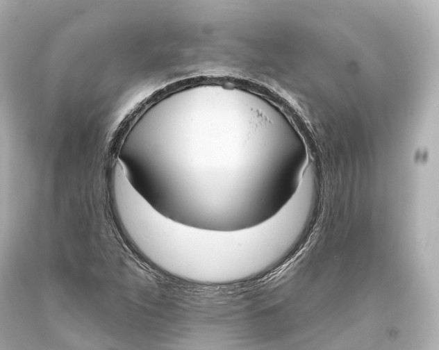 X0000093361263200711011200