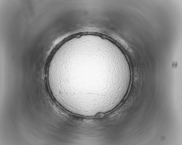 X0000093361264200711011200