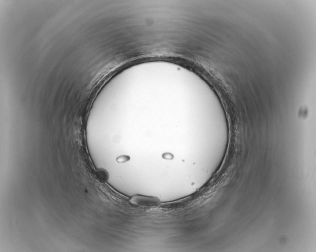 X0000093361265200711011200